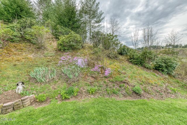 261 Calvary Lane, Mountain City, TN 37683