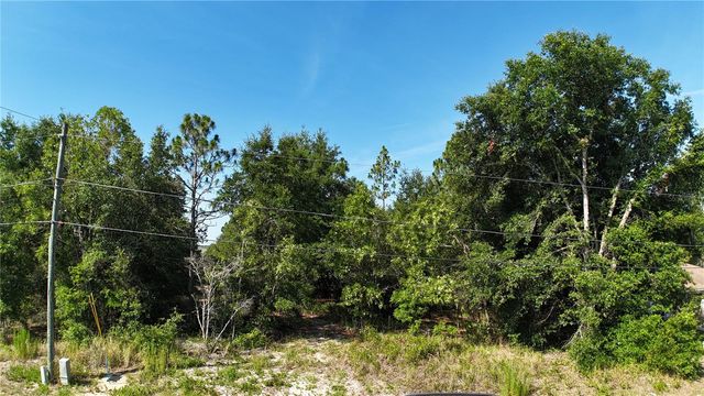 BAHIA COURT TRACK, Ocala, FL 34472