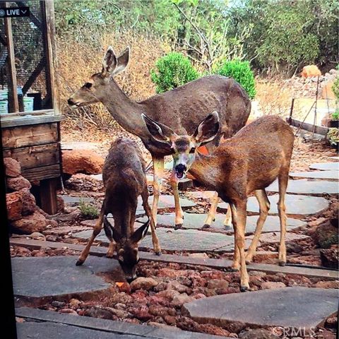 39280 Redonda Mesa, Murrieta, CA 92562