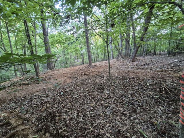 207 Turk Road, Townville, SC 29689