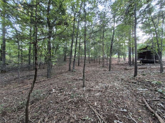 207 Turk Road, Townville, SC 29689