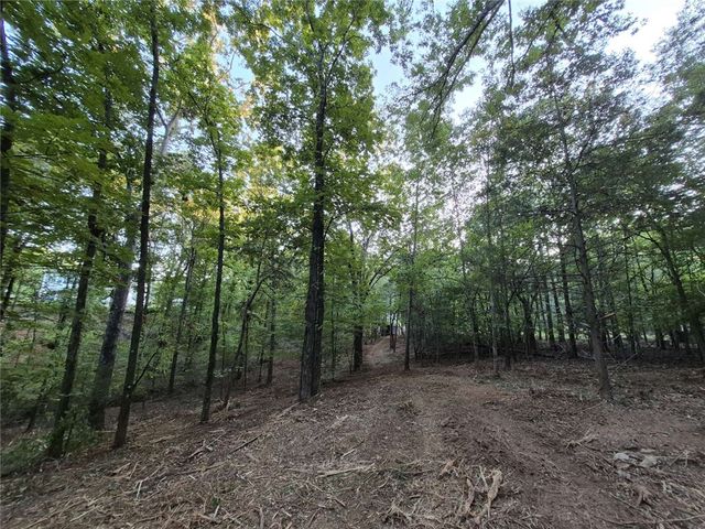 207 Turk Road, Townville, SC 29689