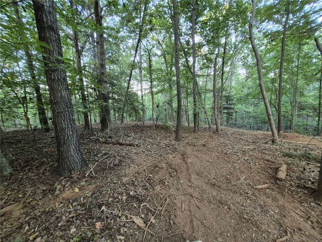 207 Turk Road, Townville, SC 29689
