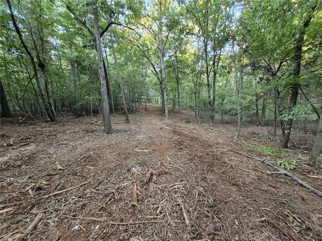 207 Turk Road, Townville, SC 29689