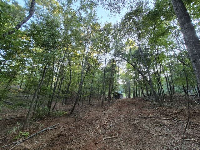 207 Turk Road, Townville, SC 29689