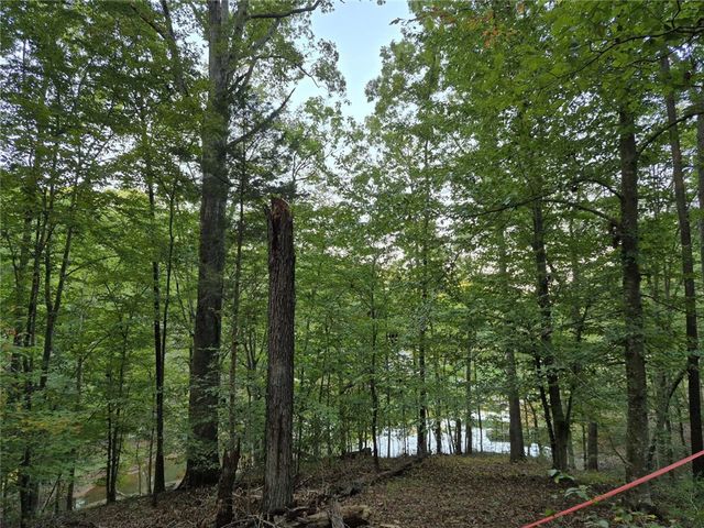 207 Turk Road, Townville, SC 29689