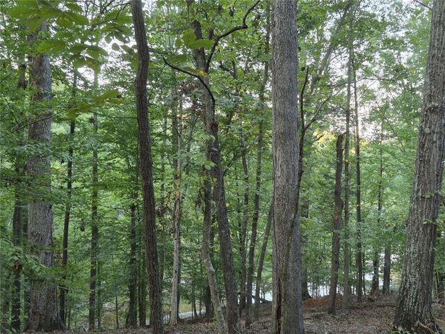 207 Turk Road, Townville, SC 29689