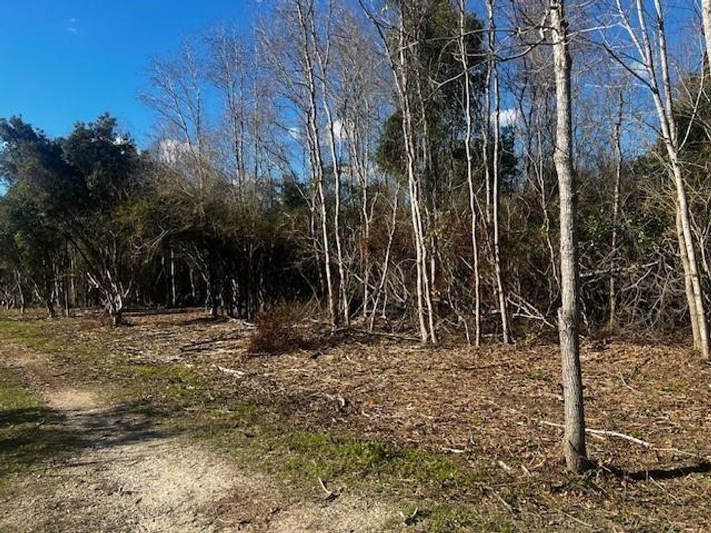 0 Bellingrath Road, Theodore, AL 36582 — exterior