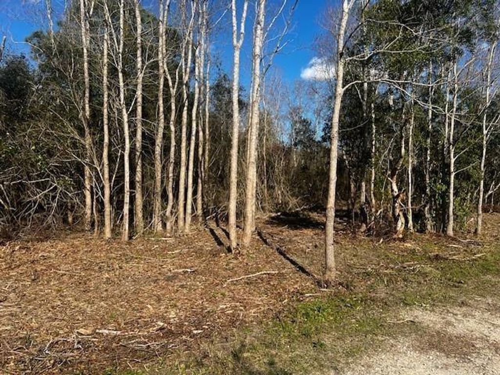 0 Bellingrath Road, Theodore, AL 36582 — photo 2