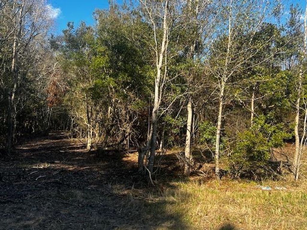 0 Bellingrath Road, Theodore, AL 36582 — photo 4