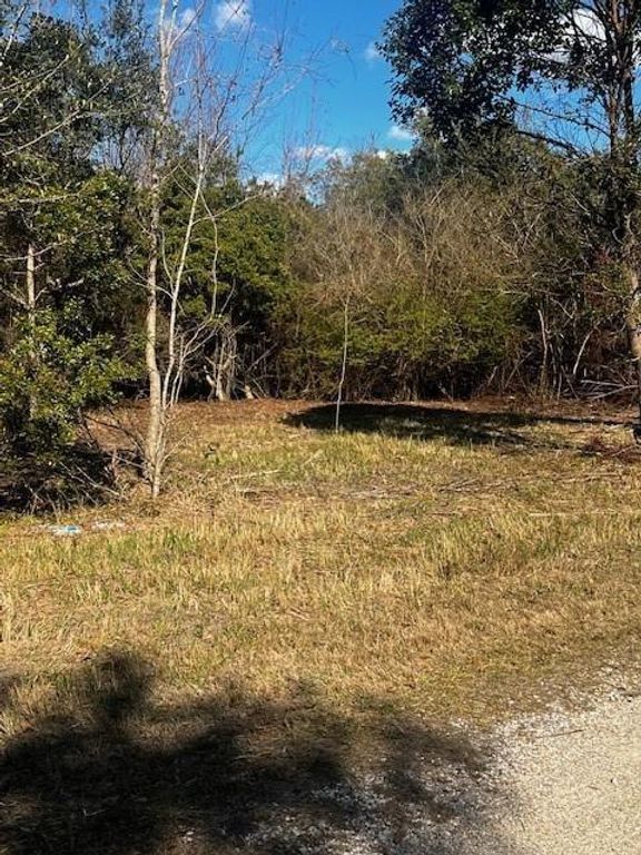 0 Bellingrath Road, Theodore, AL 36582 — photo 5