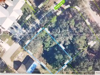 921 Primrose Street, Lake Placid, FL 33852