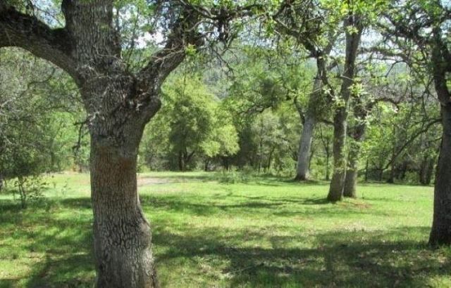 5314 Dogtown, Coulterville, CA 95311