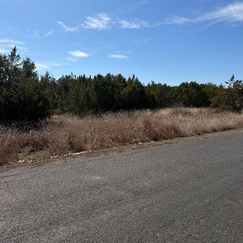 310 Sundance TRL, Liberty Hill, TX 78642