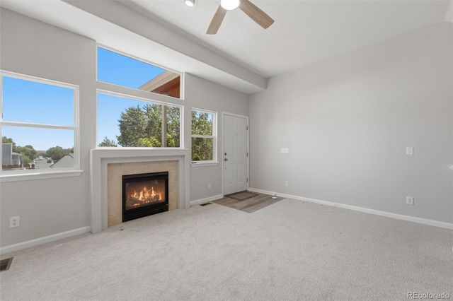 12024 Monaco Street, Brighton, CO 80602