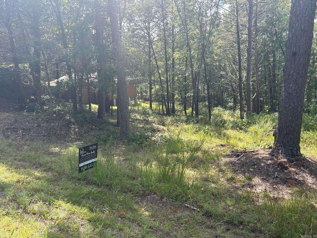 00 Boulder Boulevard, Shirley, AR 72153