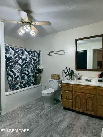 310 Hollifield Drive, Jacksboro, TN 37757