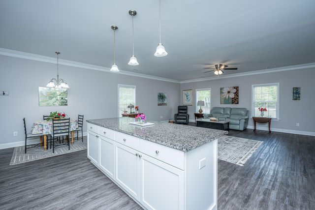 326 Turner Lane, Round O, SC 29474