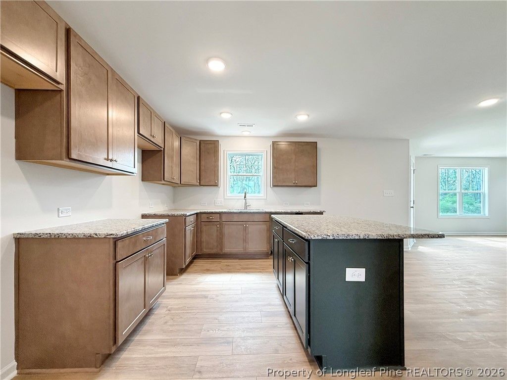 193 Crusher (Lot 60) Drive, Parkton, NC 28371 — photo 6