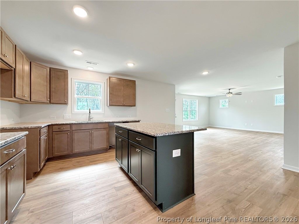 193 Crusher (Lot 60) Drive, Parkton, NC 28371 — photo 7
