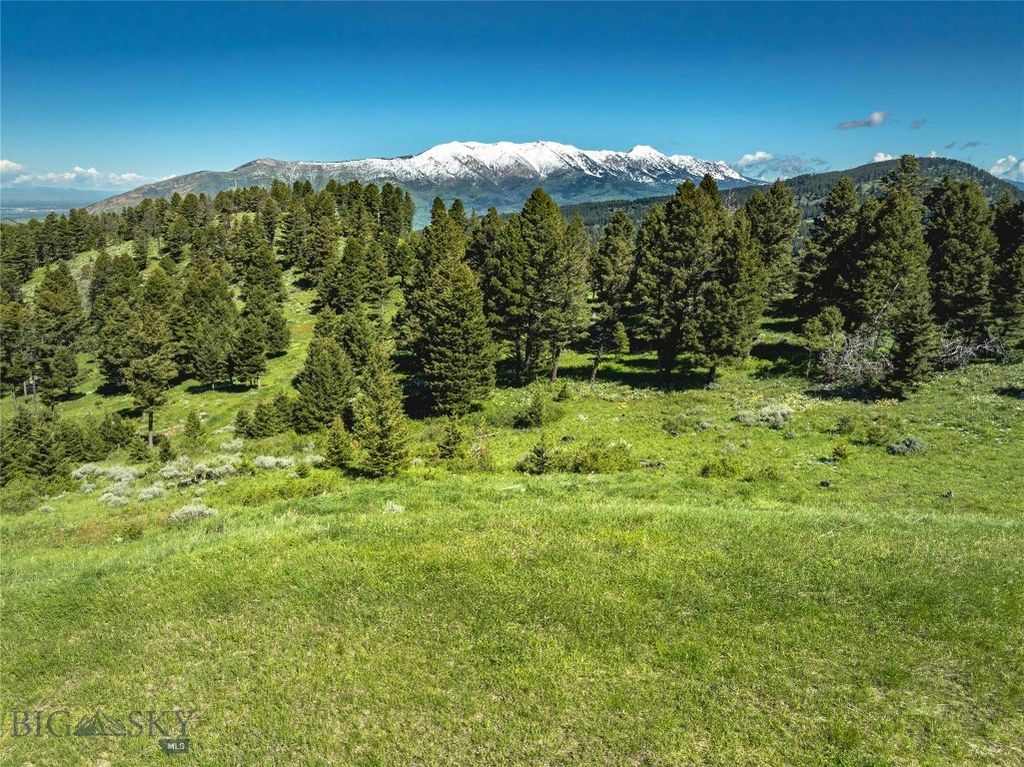 Ranch 2 North Pass Ranches, Bozeman, MT 59715 photo 5