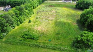 Tract 2 Dupree Worthey Road, Harvest, AL 35749