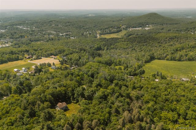 133 Revonah Hill Road, Liberty, NY 12754