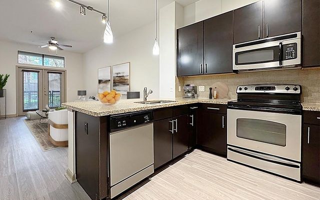 206 Mcgowen Street 2109, Houston, TX 77006