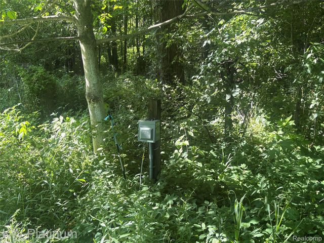 7280 North Road Road, Burtchville Township, MI 48059