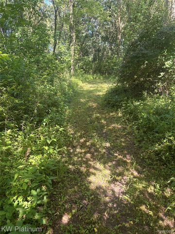 7280 North Road Road, Burtchville Township, MI 48059