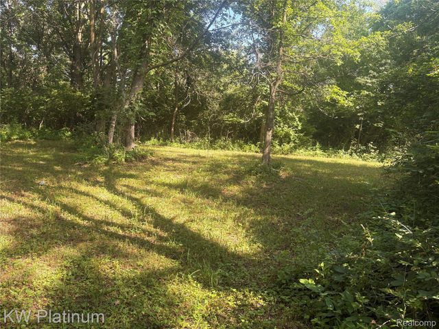 7280 North Road Road, Burtchville Township, MI 48059