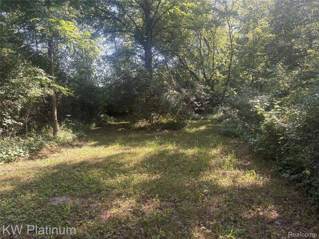 7280 North Road Road, Burtchville Township, MI 48059