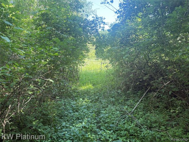 7280 North Road Road, Burtchville Township, MI 48059