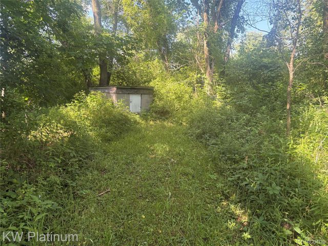 7280 North Road Road, Burtchville Township, MI 48059