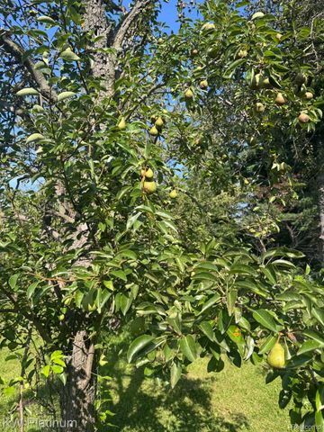 7280 North Road Road, Burtchville Township, MI 48059