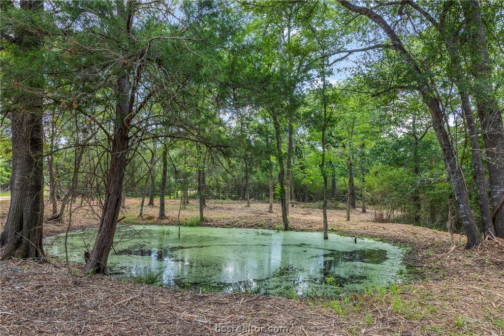 TBD Weber Road, Bryan, TX 77808 — photo 5