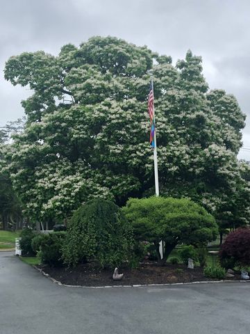 510 Prospect Street, Methuen, MA 01844