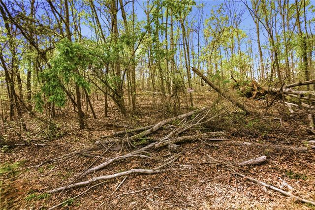 Lot 42 Brandywine Drive, Westminster, SC 29693