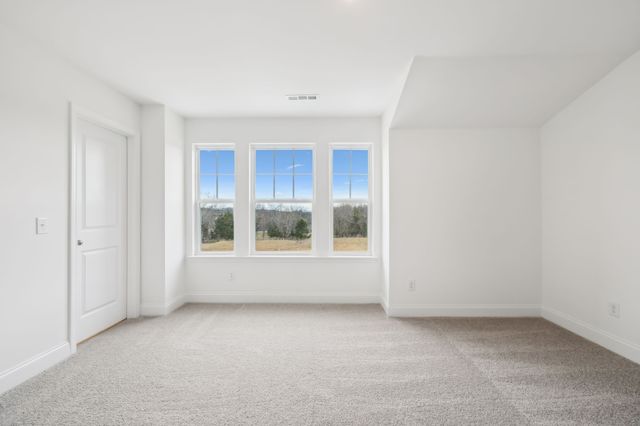 110 Emeline Way, Mount Juliet, TN 37122