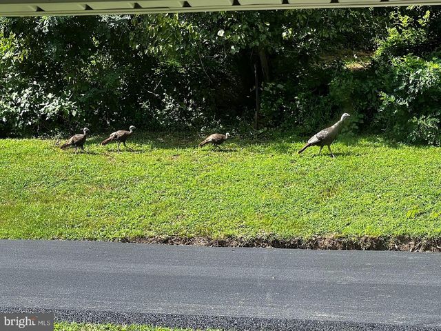 13608 MARYLAND AVE, Blue Ridge Summit, PA 17214