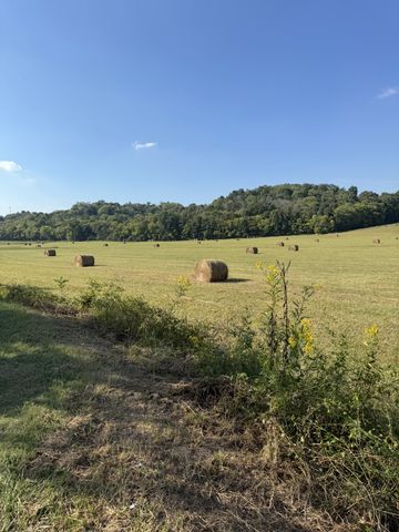 0 Cheatham Springs Road, Wartrace, TN 37183