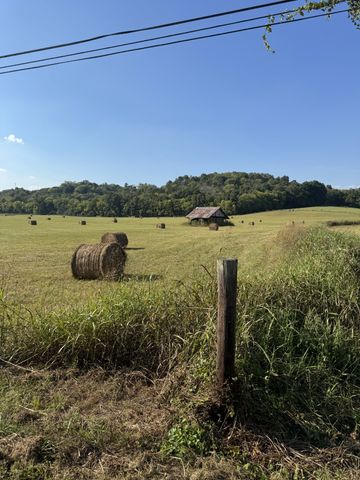 0 Cheatham Springs Road, Wartrace, TN 37183