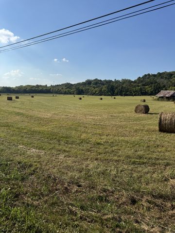 0 Cheatham Springs Road, Wartrace, TN 37183