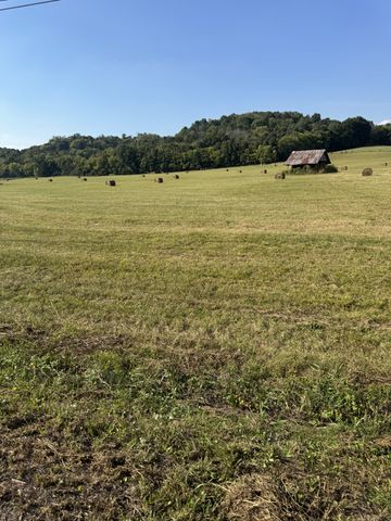 0 Cheatham Springs Road, Wartrace, TN 37183