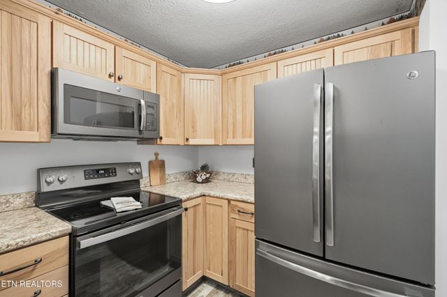 616 Turkey Nest Rd Apt 209, Gatlinburg, TN 37738