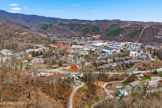616 Turkey Nest Rd Apt 209, Gatlinburg, TN 37738