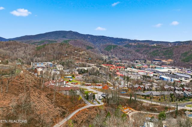 616 Turkey Nest Rd Apt 209, Gatlinburg, TN 37738