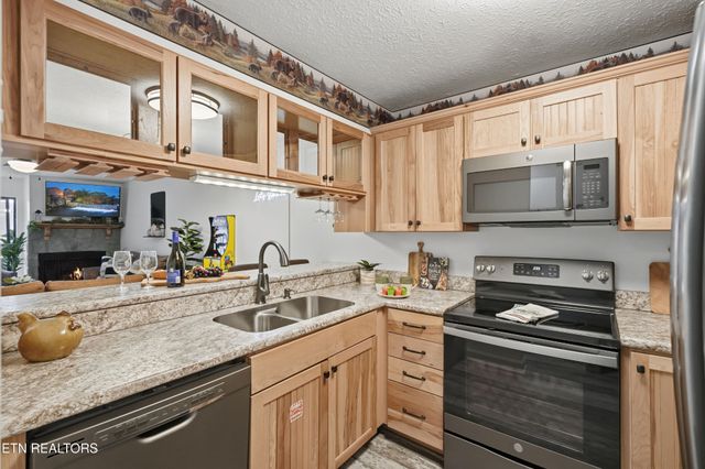 616 Turkey Nest Rd Apt 209, Gatlinburg, TN 37738