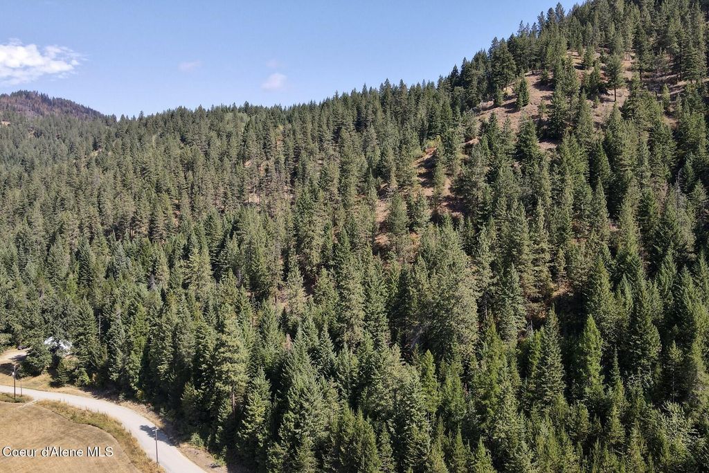 Lot 4 Bodie Canyon Road, Priest River, ID 83856