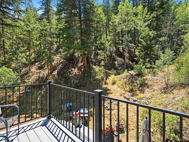 410 E Idaho Springs Road, Idaho Springs, CO 80452